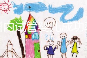 “國內(nèi)試管嬰兒成功率不比國外差” 對話輔助生殖專家:胚胎培養(yǎng)是概率提升關(guān)鍵