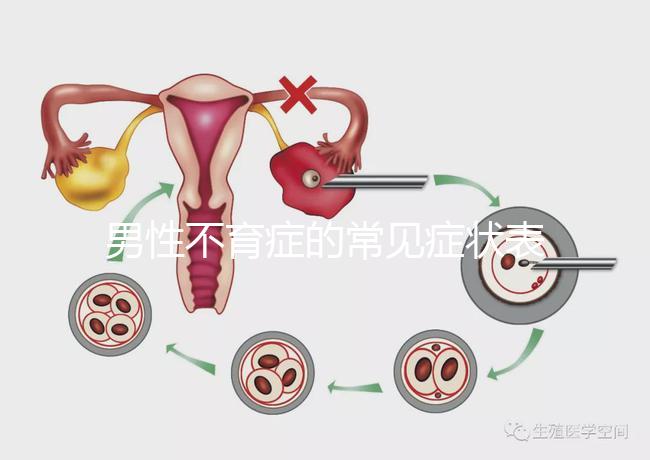 男性不育癥的常見癥狀表現