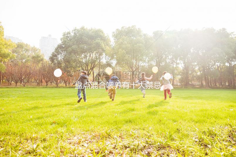 盤(pán)點(diǎn)混合喂養(yǎng)有十大禁忌！你能知道一頓母乳和一頓奶粉嗎？