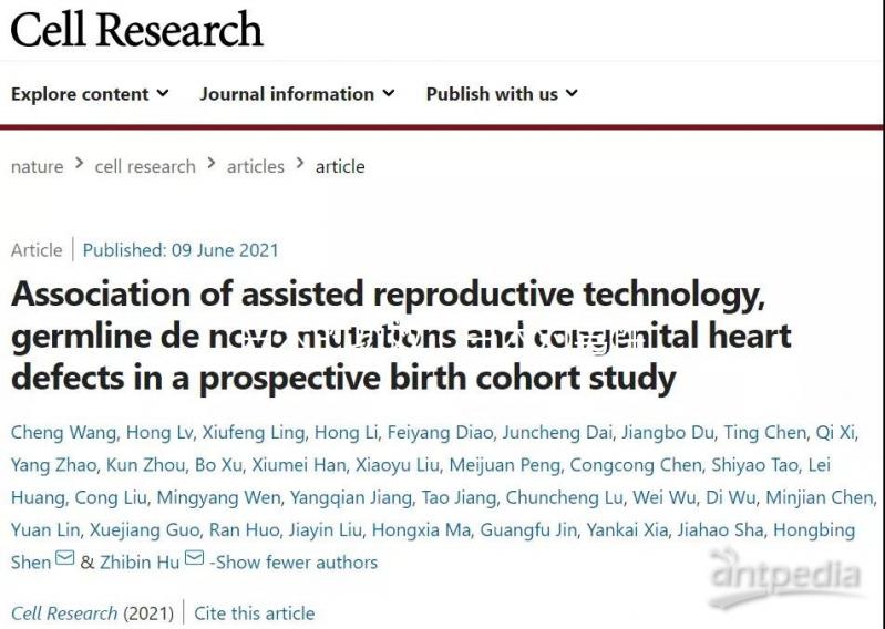 白術(shù)的功效（白術(shù)對男性性功能的效果）