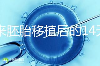 原來胚胎移植后的14天,這些信號(hào)預(yù)示著床成功