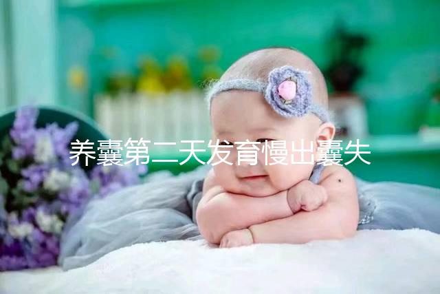 養囊第二天發育慢出囊失敗還有戲！前提：第三天繼續培育