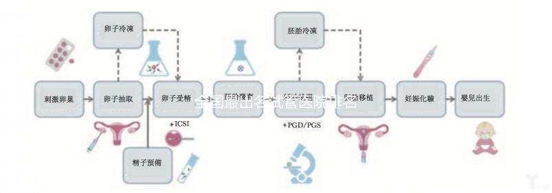 全國最出名試管醫院排名前5，內附試管費用及成功率一覽