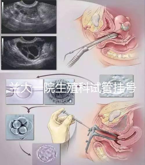 蘭大一院生殖科試管掛號多少錢別還不造，預約攻略來了