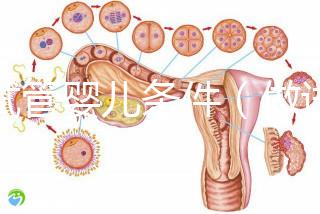 做試管嬰兒條件（做試管嬰兒條件有哪些）