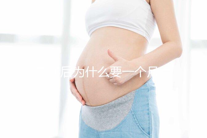 取卵后為什么要一個月后移植？深度解析與科學依據