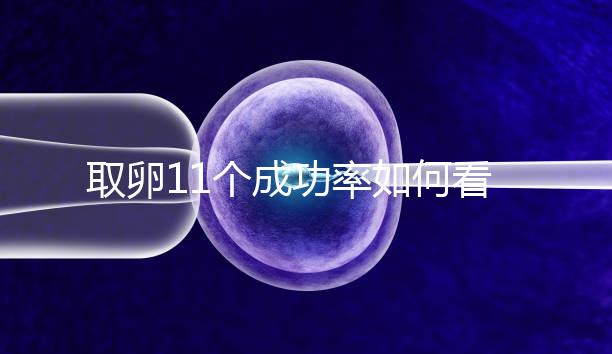 取卵11個(gè)成功率如何看胚胎配成數(shù)，只受精兩個(gè)要找找原因