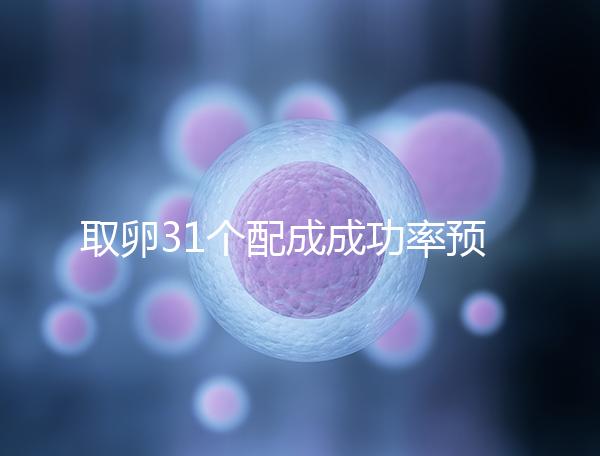 取卵31個(gè)配成成功率預(yù)測(cè)，鮮胚個(gè)數(shù)在這個(gè)范圍都有希望