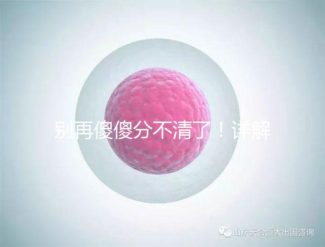 別再傻傻分不清了！詳解美國試管嬰兒和人工授精的區別