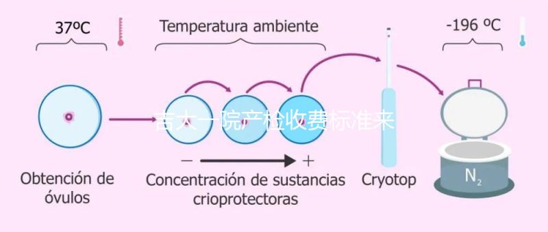 吉大一院產(chǎn)檢收費(fèi)標(biāo)準(zhǔn)來了!免費(fèi)項(xiàng)目和報銷比例一文說明