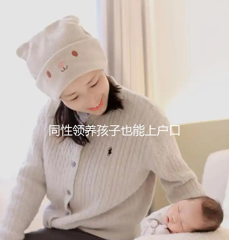 同性領養孩子也能上戶口，準備好這些材料解你燃眉之急