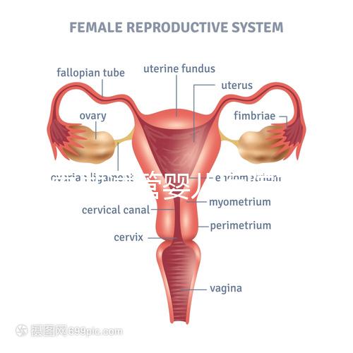 國內做試管嬰兒醫院有哪些?附全國十大試管醫院排名