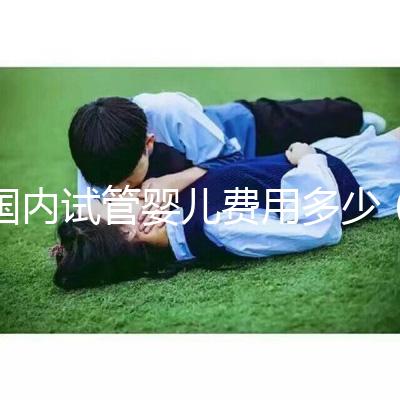 國內(nèi)試管嬰兒費用多少（國內(nèi)試管嬰兒費用多少錢）