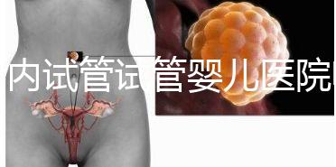 國內(nèi)試管試管嬰兒醫(yī)院哪家強？附排名前十試管嬰兒醫(yī)院名單！