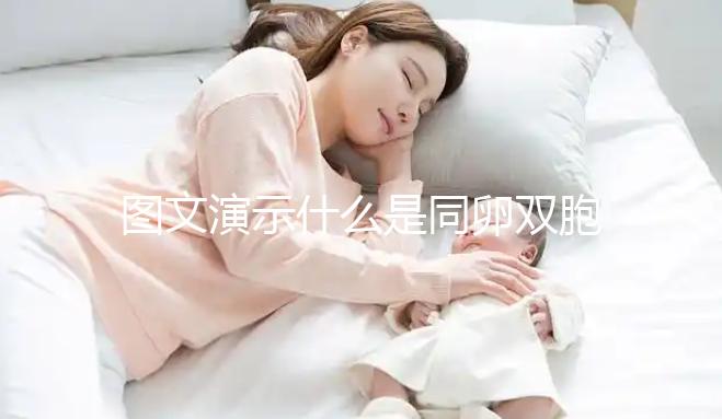 圖文演示什么是同卵雙胞胎，和異卵雙胞胎有3大區別