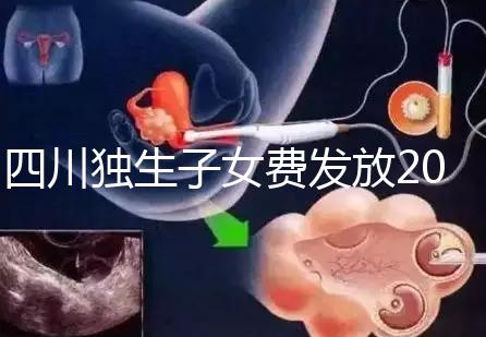 四川獨生子女費發(fā)放2024年新規(guī)定，如何盡快領取自貢？