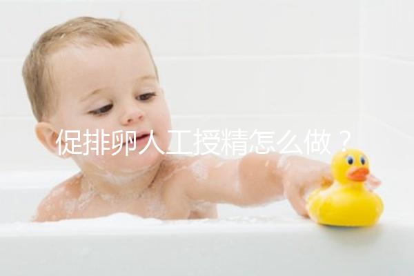 促排卵人工授精怎么做？4步操作過(guò)程戳這里了解