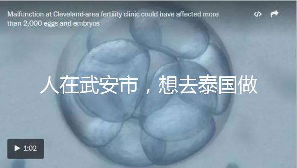 人在武安市，想去泰國做試管嬰兒生男孩要花多少錢？