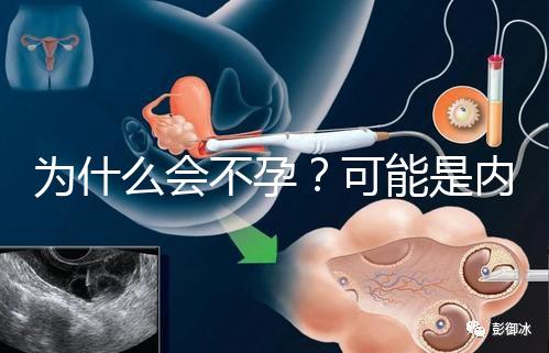 為什么會不孕？可能是內分泌失調在搗亂！