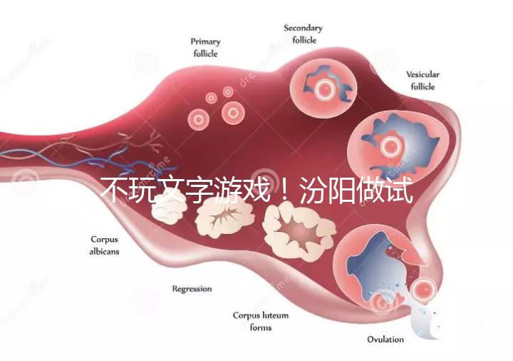 不玩文字游戲！汾陽做試管嬰兒成功率和費用一覽