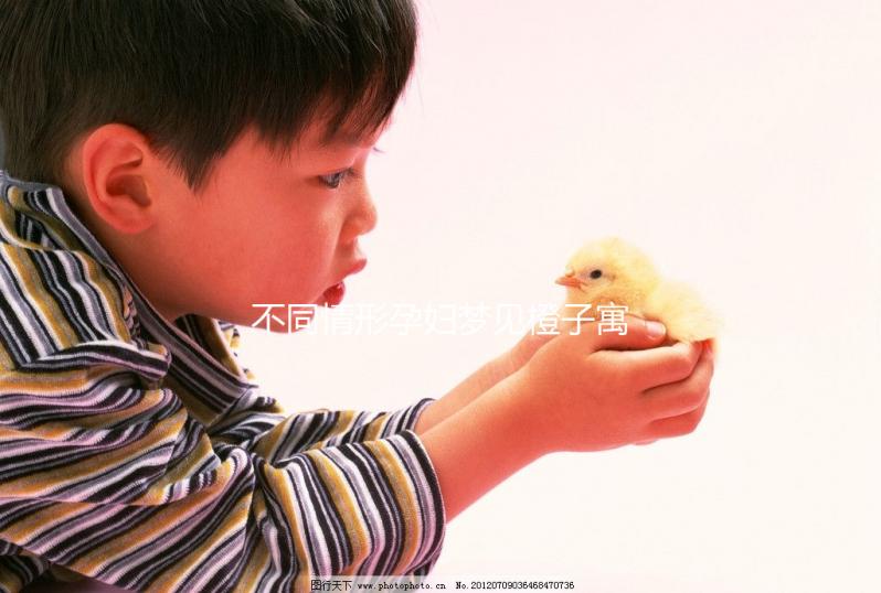 不同情形孕婦夢(mèng)見(jiàn)橙子寓意各異!具體胎夢(mèng)全解析