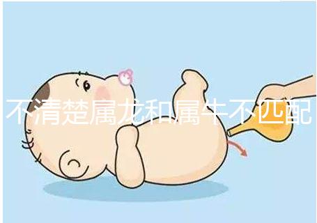 不清楚屬龍和屬牛不匹配戳，再一起看財運就夠了