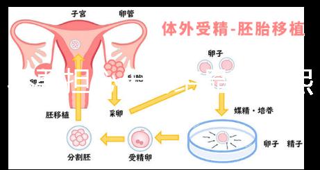 不要擔(dān)心十月結(jié)晶和曼熙哪個(gè)洗澡盆好，先知道怎么安裝