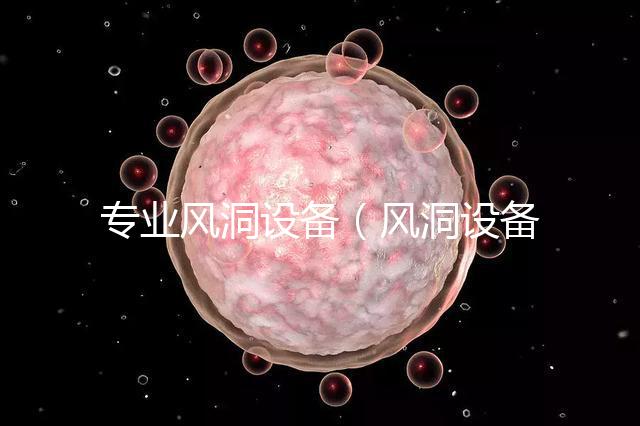 專業(yè)風洞設備(風洞設備廠家)