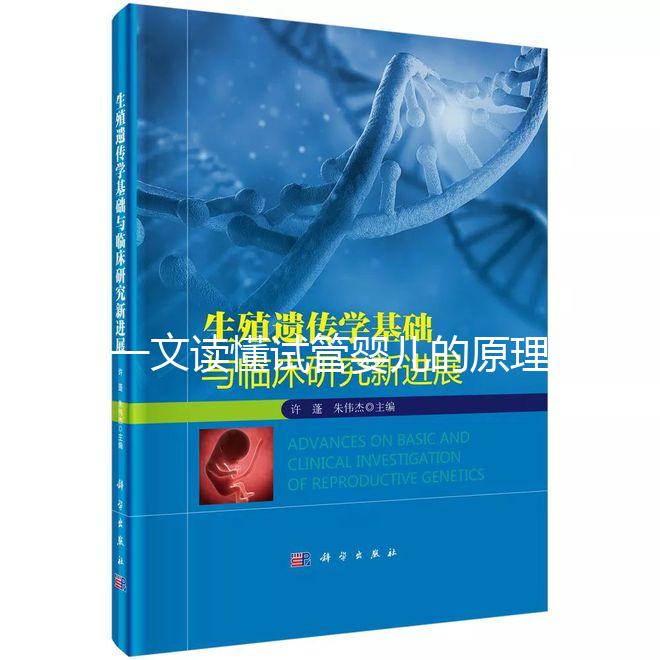 一文讀懂試管嬰兒的原理：點(diǎn)亮生命希望的科技之光