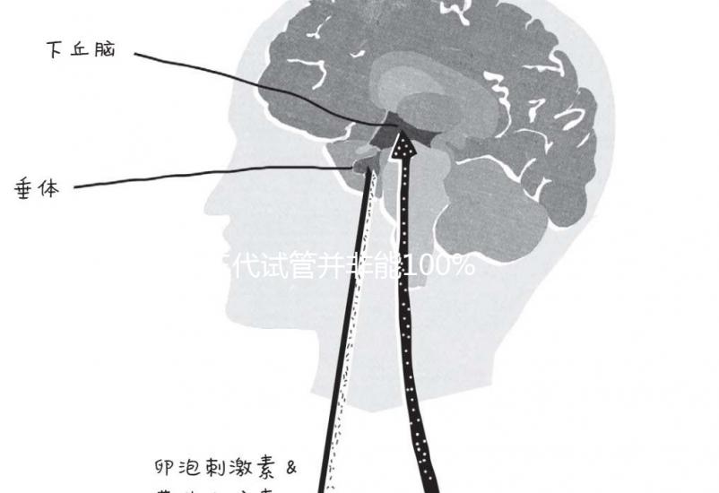 三代試管并非能100%杜絕甲亢！成功率大不大看所選醫院