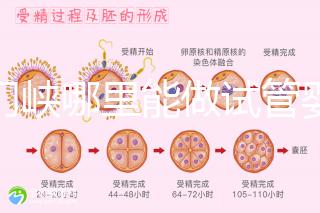 三門峽哪里能做試管嬰兒？從經歷談成功率和費用