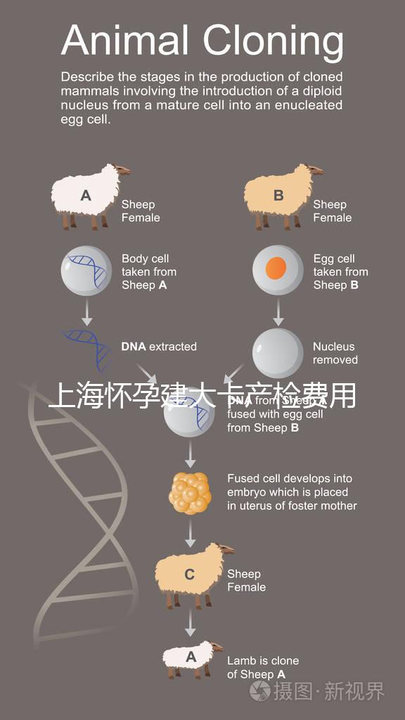 上海懷孕建大卡產檢費用分享，不同地區收費標準差別大！