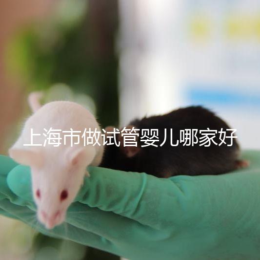 上海市做試管嬰兒哪家好？2025年權威醫院排名與成功率詳細對比