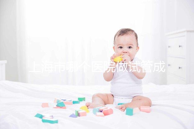 上海市哪個醫(yī)院做試管成功率高最好的?
