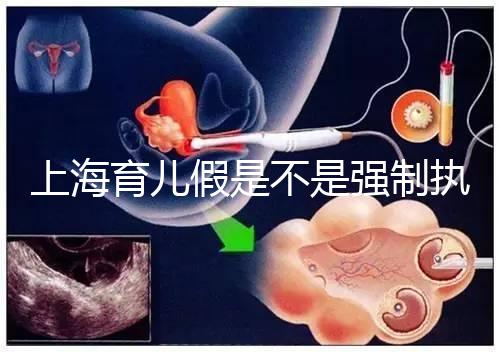 上海育兒假是不是強制執行已明確，2024虹口區何時執行戳