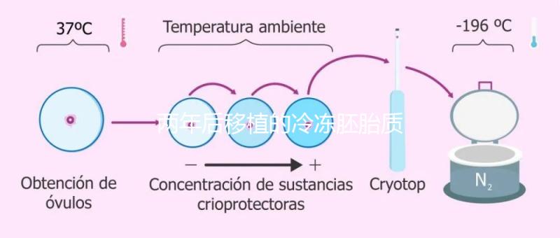 兩年后移植的冷凍胚胎質量差會怎么樣？有效的解決方案