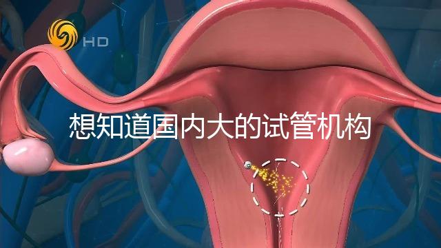 想知道國(guó)內(nèi)大的試管機(jī)構(gòu)，可以查到的那種？