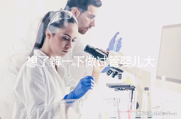 想了解一下做試管嬰兒大概需要多少錢。