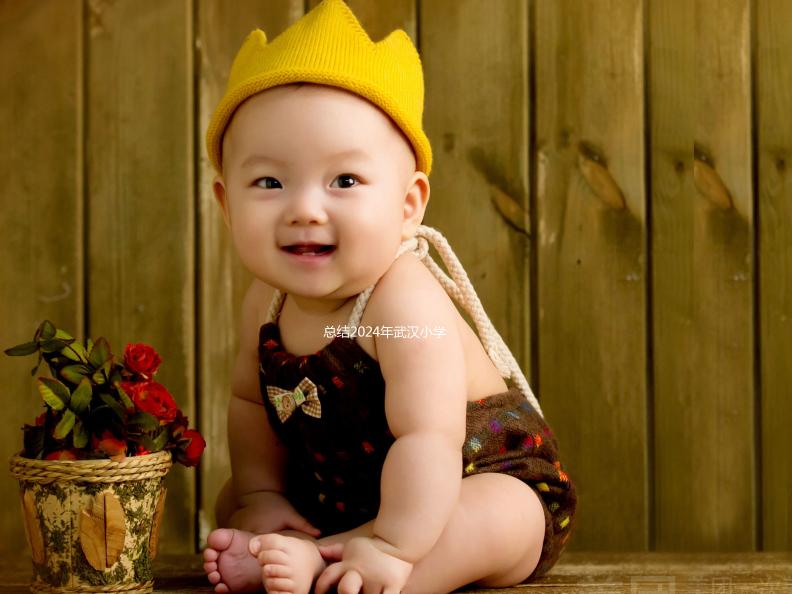 總結2024年武漢小學生入學政策，包括江岸區的詳細流程和條件