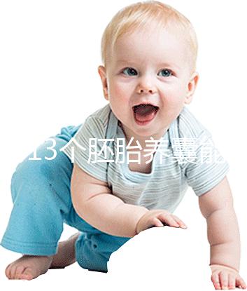 揭秘13個(gè)胚胎養(yǎng)囊能養(yǎng)成幾個(gè)，別以為6個(gè)著床幾率就高