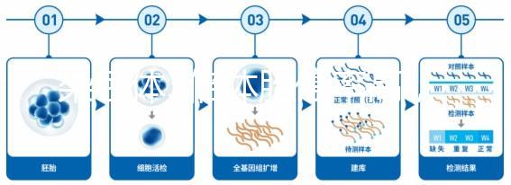 染色體3倍體胎停率高，治療首選三代試管