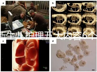 新生兒護(hù)理五大內(nèi)容6個(gè)要點(diǎn)整理，嬰兒養(yǎng)育照護(hù)干貨來(lái)了