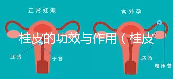 桂皮的功效與作用（桂皮燉肉起什么作用）