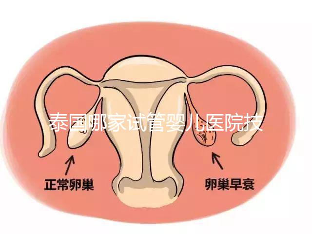 泰國哪家試管嬰兒醫(yī)院技術(shù)好？這些醫(yī)院排名前三