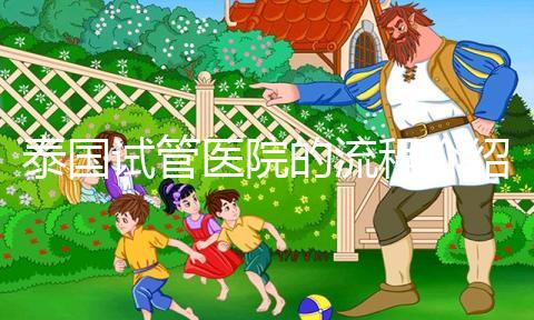 泰國(guó)試管醫(yī)院的流程介紹，9個(gè)步驟全部完成