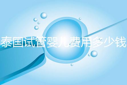 泰國(guó)試管嬰兒費(fèi)用多少錢(qián)（泰國(guó)試管嬰兒費(fèi)用多少錢(qián)呢）