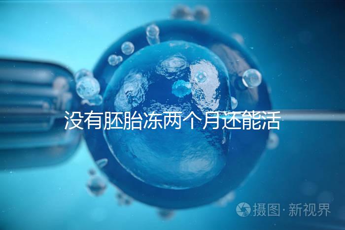 沒有胚胎凍兩個月還能活著嗎？60s會告訴你怎么樣？