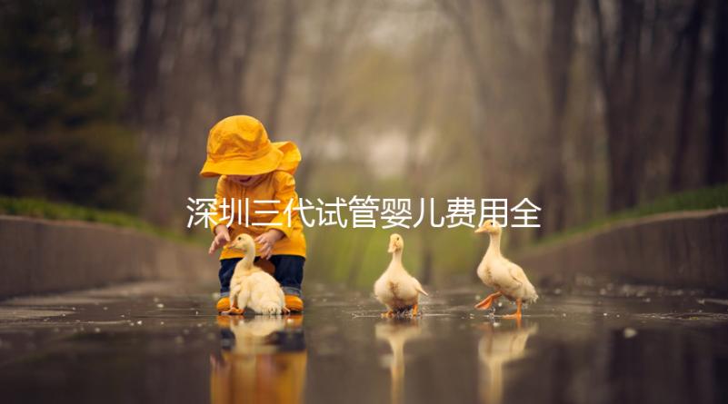 深圳三代試管嬰兒費(fèi)用全揭秘，助你輕松掌握預(yù)算！