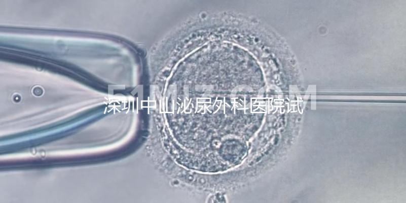 深圳中山泌尿外科醫院試管成功率參考，一次就中并非神話