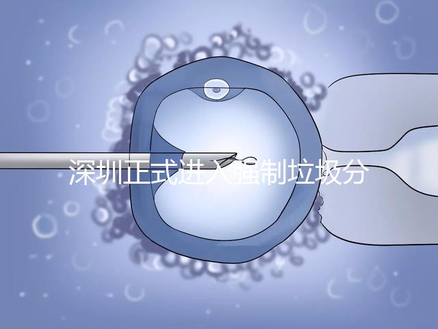 深圳正式進入強制垃圾分類時代，不分類最高被罰50萬!